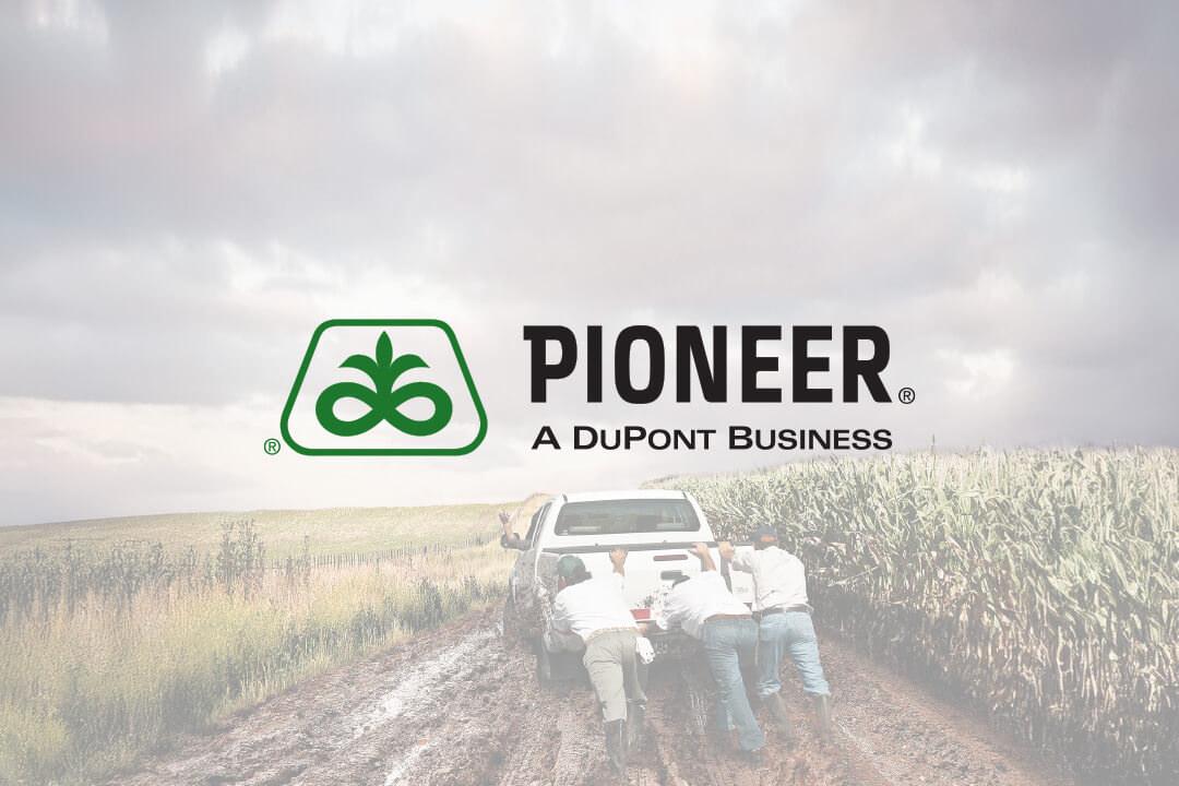 Maria Fernanda Cerezo